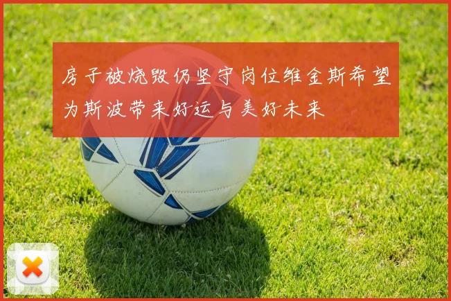 房子被烧毁仍坚守岗位维金斯希望为斯波带来好运与美好未来