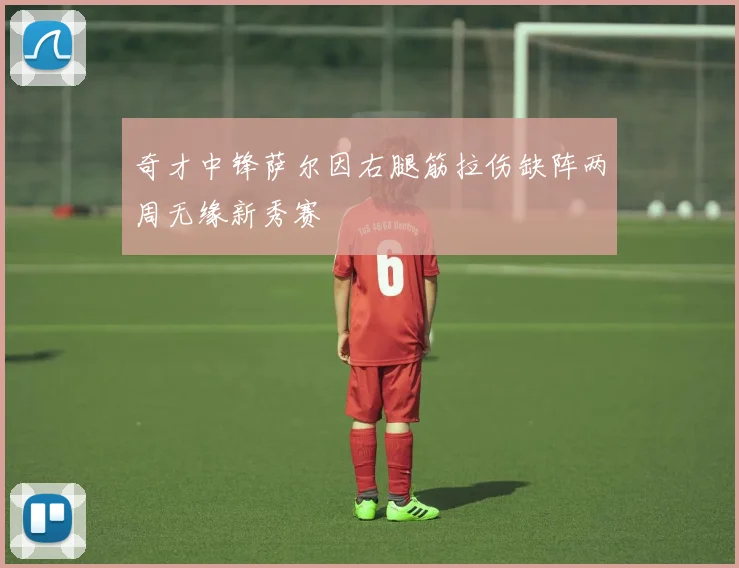 奇才中锋萨尔因右腿筋拉伤缺阵两周无缘新秀赛