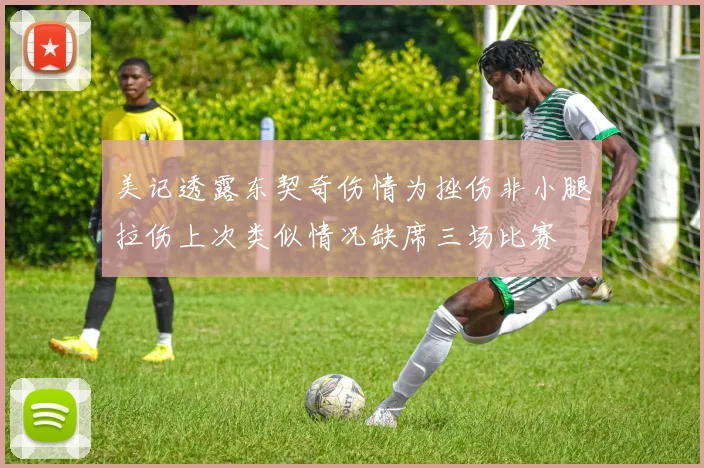 美记透露东契奇伤情为挫伤非小腿拉伤上次类似情况缺席三场比赛