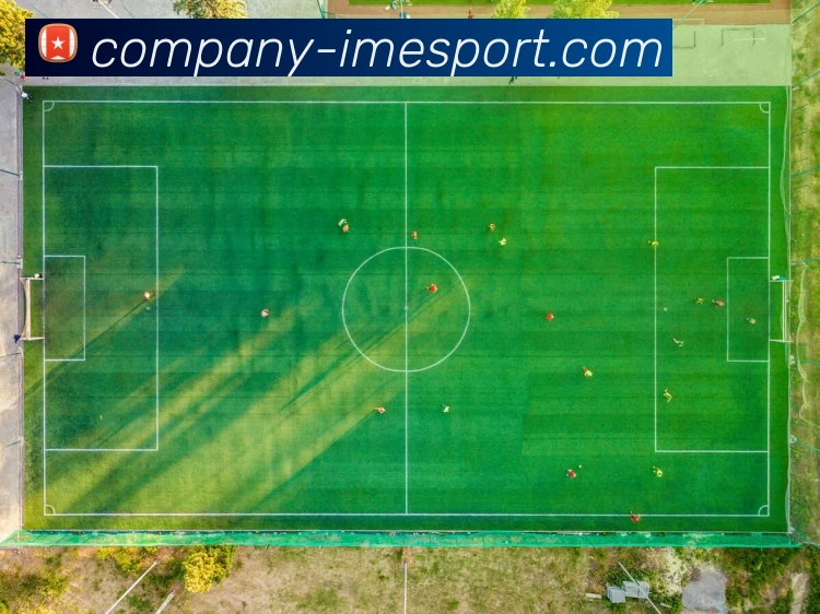 多媒体互动体验