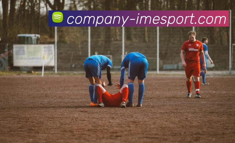 IM电竞APP 高清赛事图